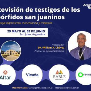 Ticket Revisión de testigos de los pórfidos san juaninos